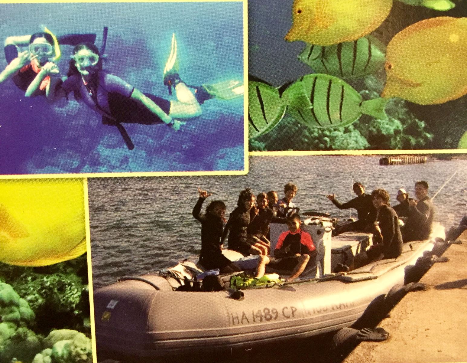 Product Zodiac Snorkel Tour 3 HR